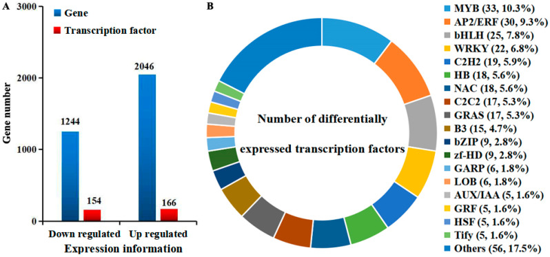Transcription Factors Are Involved in Wizened Bud Occurrence During the Growing Season in the <i>Pyrus pyrifolia</i> Cultivar 'Sucui 1'.