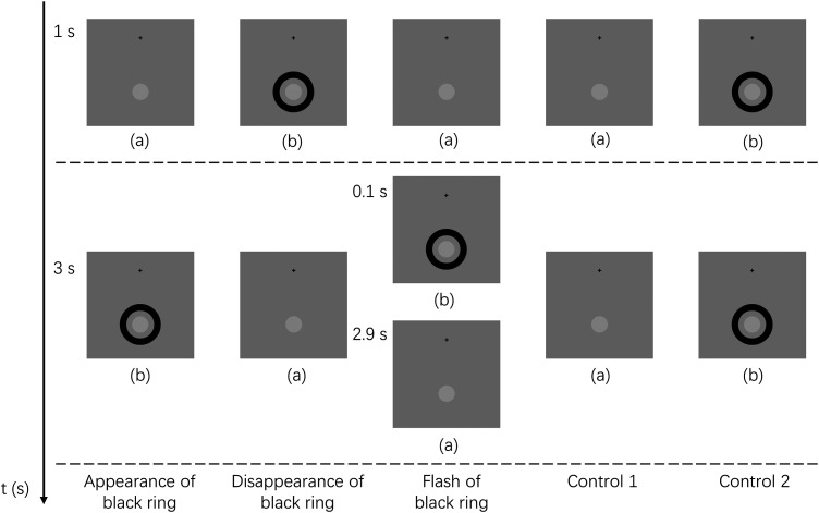 Factors contributing to transient-induced fading: Examining the impact of luminance contrasts and subjective contours.