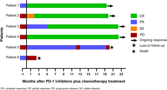 PD-1 inhibitors plus chemotherapy for refractory EBV-positive DLBCL: a retrospective analysis.