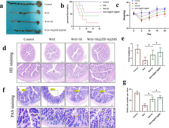 Metal-organic-framework-based sitagliptin-release platform for multieffective radiation-induced intestinal injury targeting therapy and intestinal flora protective capabilities.