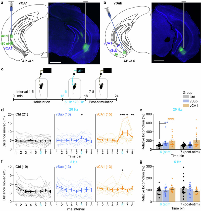 Acute optogenetic induction of the prodromal endophenotype of CA1 hyperactivity causes schizophrenia-related deficits in cognition and salience attribution.
