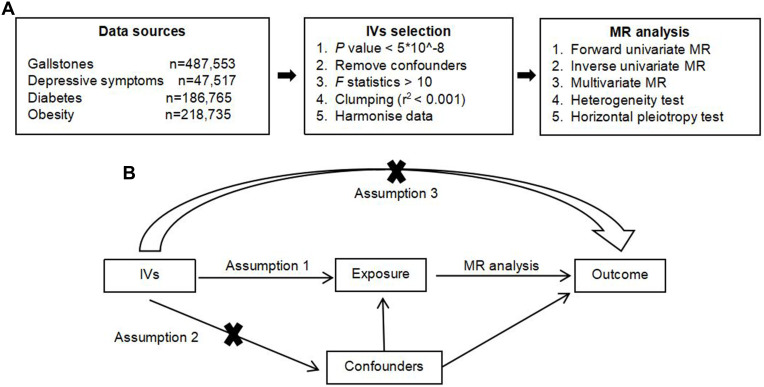 Association Between Gallstones and Depressive Symptoms: Results from NHANES and Mendelian Randomization Study.