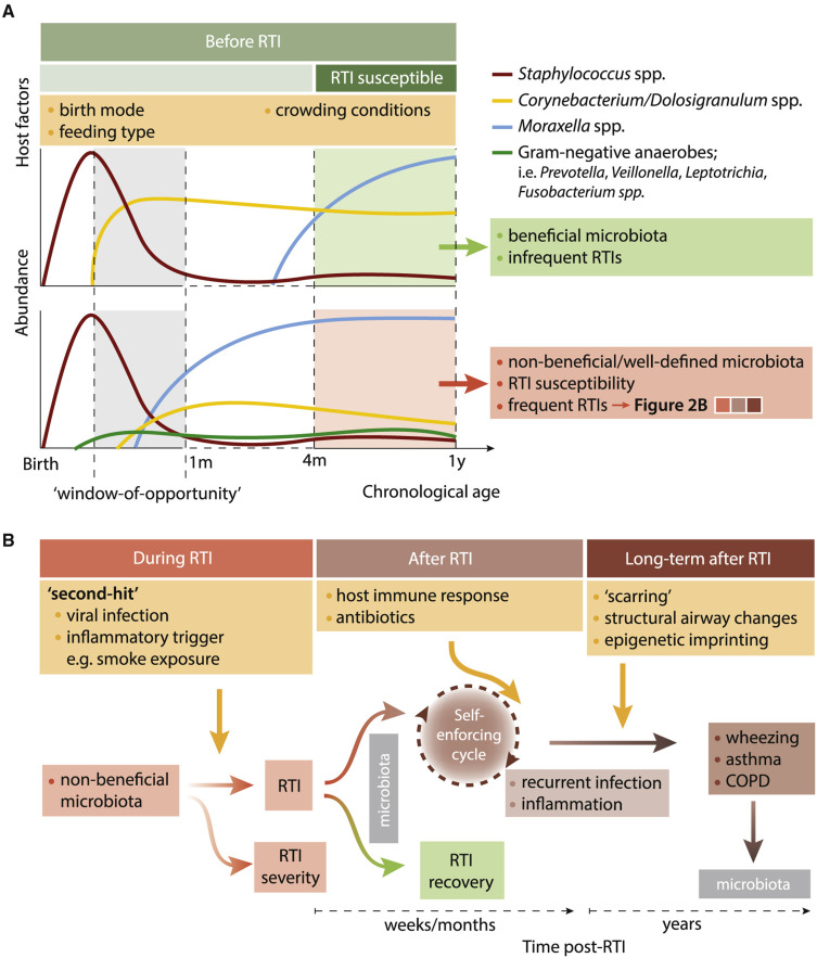 Oral Cavity Microbiome Impact on Respiratory Infections Among Children.