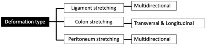 Causes of intraprocedural discomfort in colonoscopy: a review and practical tips.