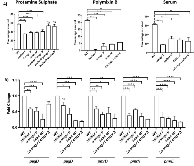 CRISPR-Cas system positively regulates virulence of Salmonella enterica serovar Typhimurium.