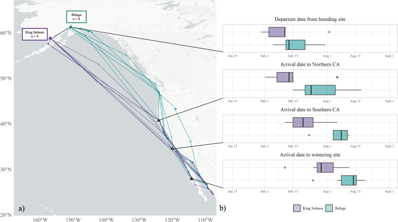 Migratory strategies across an ecological barrier: is the answer blowing in the wind?