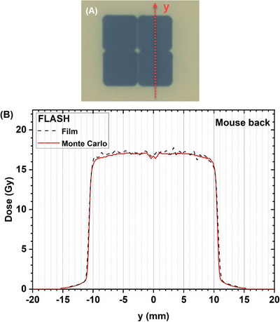 Mimicking large spot-scanning radiation fields for proton FLASH preclinical studies with a robotic motion platform.