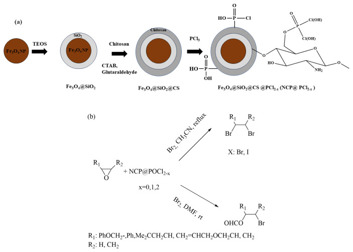 Vilsmeier-Haack complex formation by Fe<sub>3</sub>O<sub>4</sub>@SiO<sub>2</sub>@CS@POCl<sub>2-x</sub>/DMF: an efficient catalyst for conversion of epoxides to β-bromoformates.