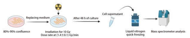 [Non-targeted Metabolomics-based Exploration of Radiation-induced Metabolic Alterations in Mouse Lung Epithelial Cells].
