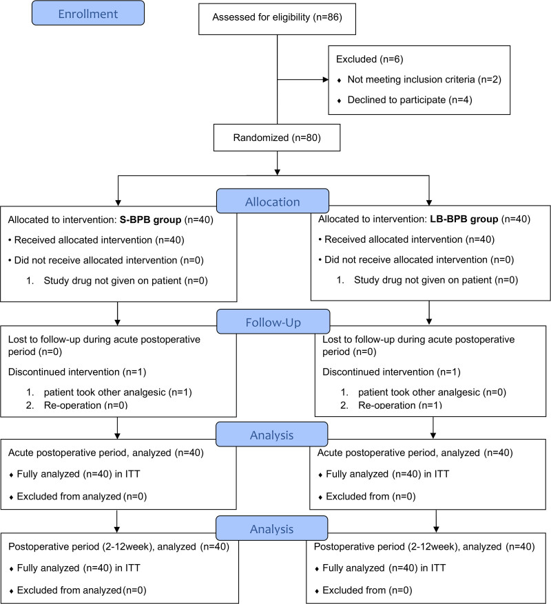 Addition of Liposomal Bupivacaine to Standard Bupivacaine versus Standard Bupivacaine Alone in the Supraclavicular Brachial Plexus Block: A Randomized Controlled Trial.