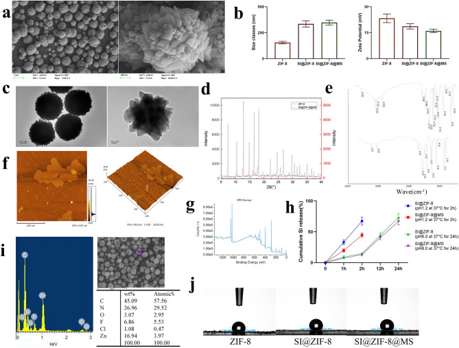 Metal-organic-framework-based sitagliptin-release platform for multieffective radiation-induced intestinal injury targeting therapy and intestinal flora protective capabilities.