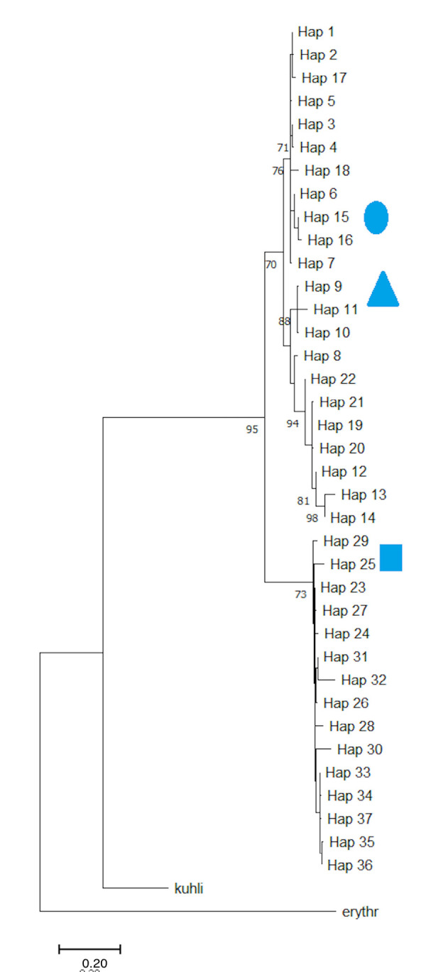 Prioritising Conservation Area in Species Management Strategy for The Edible Bornean Giant River Frog <i>Limnonectes leporinus</i> Anderson 1923.