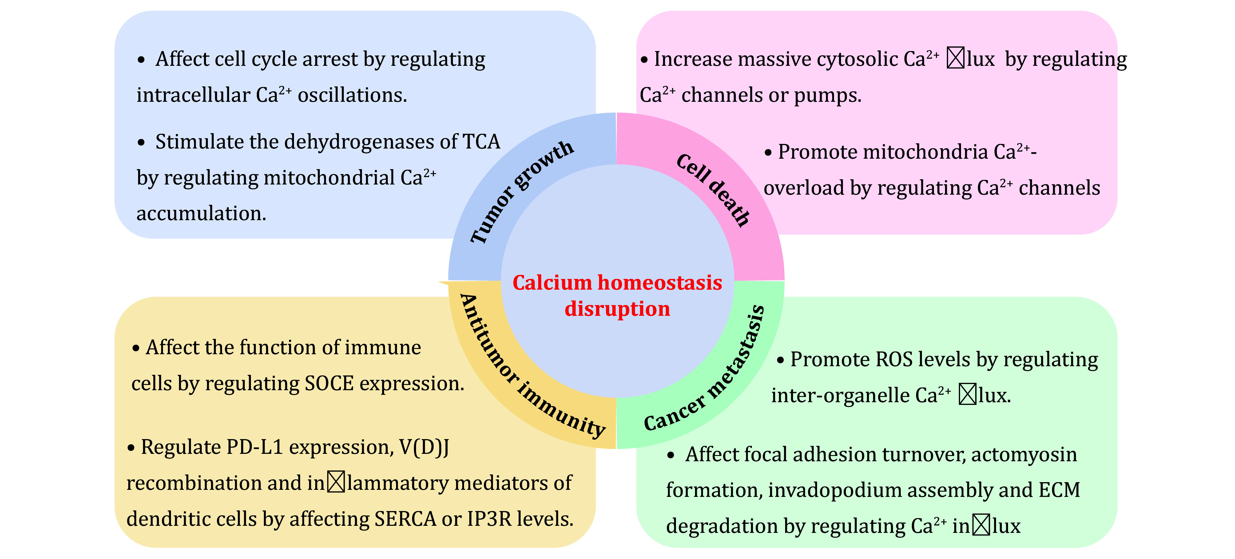 Ca<sup>2+</sup> homeostasis: a potential target for cancer therapies.
