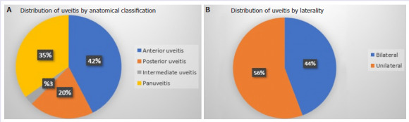 Rheumatic diseases detected in patients presenting with uveitis.