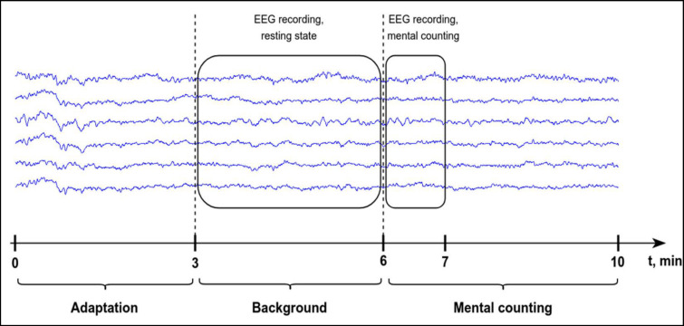 Exploring Brain Activity in Different Mental Cognitive Workloads.