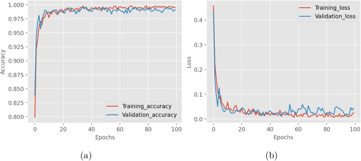 Prediction of lumpy skin disease virus using customized CBAM-DenseNet-attention model.