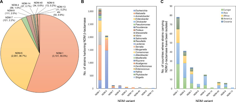 Perspectives on Metallo-β-Lactamase Inhibitors: Challenges and Implications of Metallo-β-Lactamase Variants.