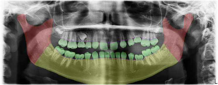 Abstract Image