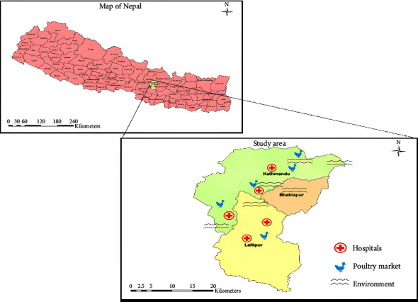 Prevalence of Extended-Spectrum Beta-Lactamase (ESBL)-Producing <i>Escherichia coli</i> in Humans, Food, and Environment in Kathmandu, Nepal: Findings From ESBL <i>E. coli</i> Tricycle Project.