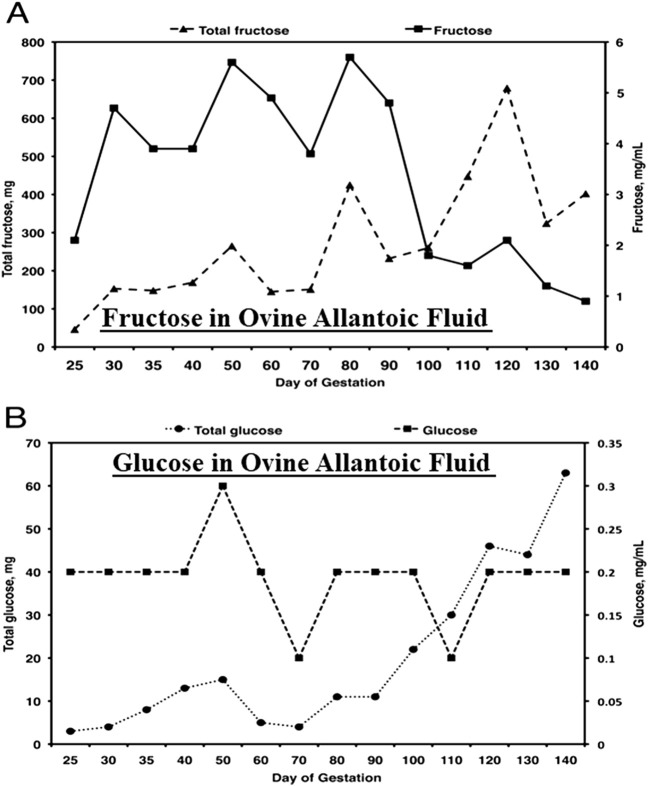 Fructose metabolism is unregulated in cancers and placentae.
