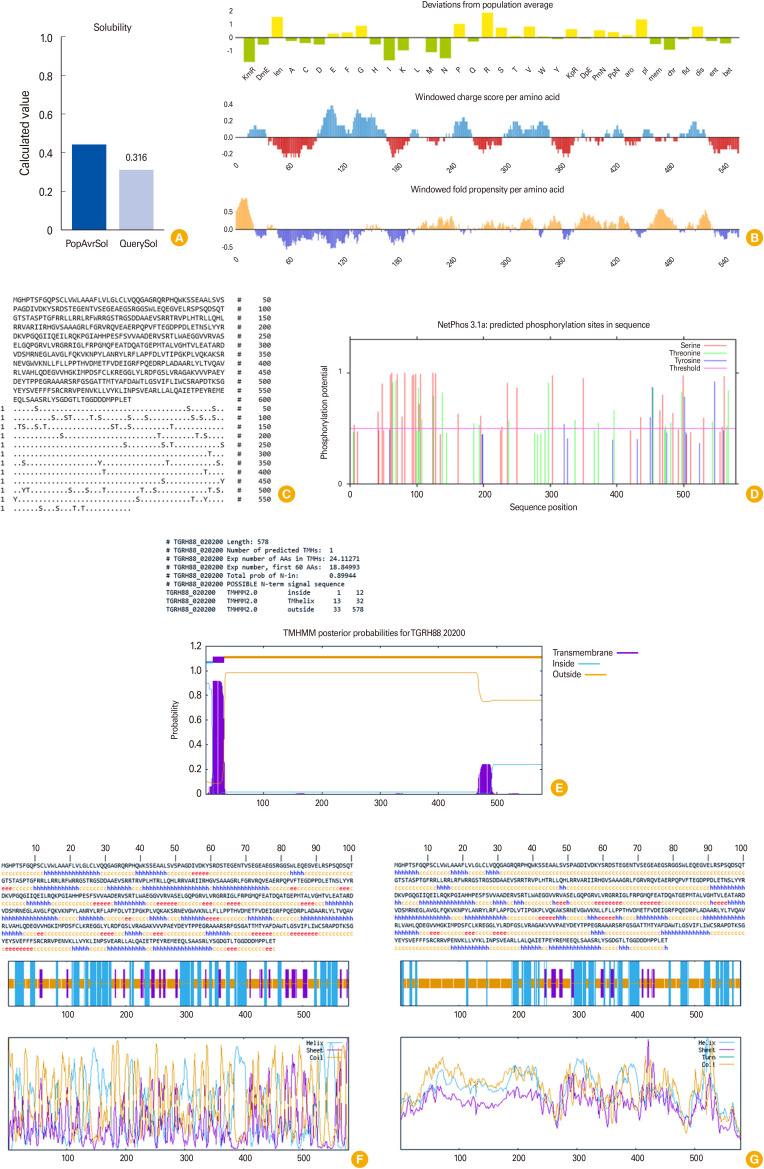Completing the pieces of a puzzle: in-depth probing of <i>Toxoplasma gondii</i> rhoptry protein 4 as a promising target for vaccination using an <i>in-silico</i> approach.