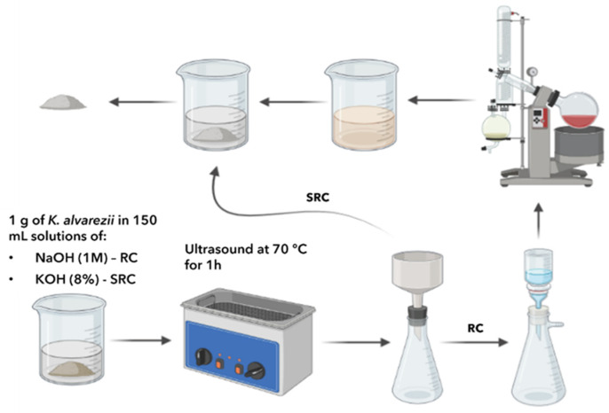 Advanced Extraction Techniques and Physicochemical Properties of Carrageenan from a Novel <i>Kappaphycus alvarezii</i> Cultivar.