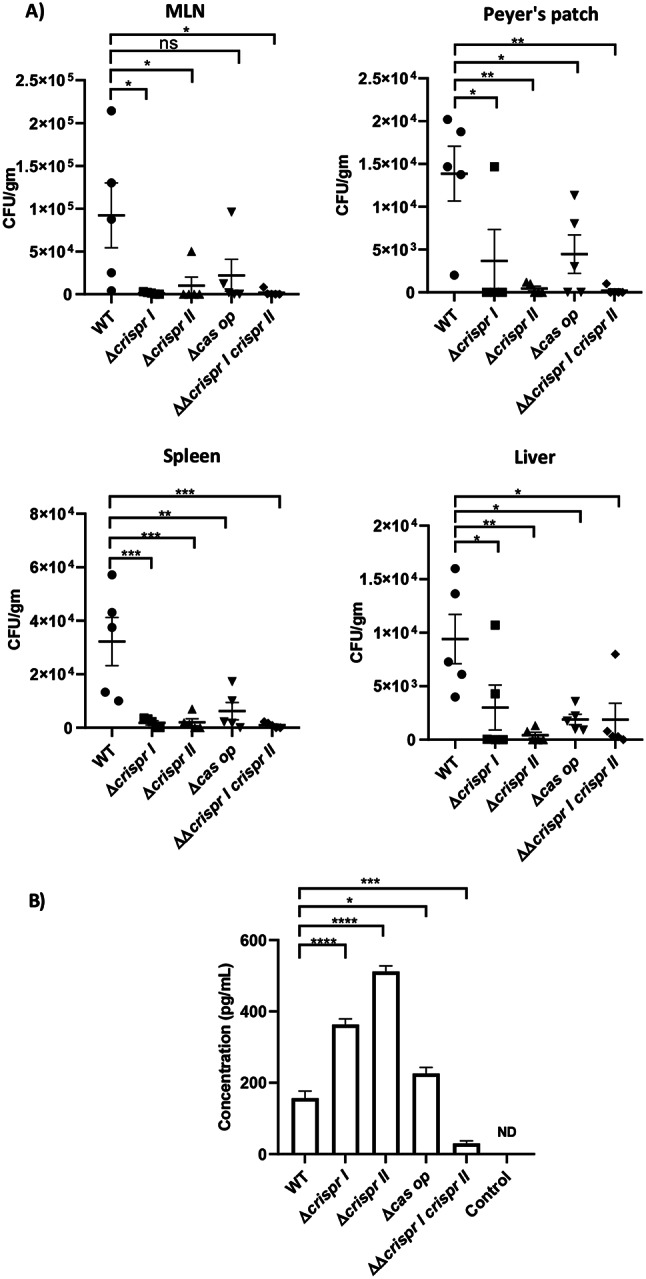 CRISPR-Cas system positively regulates virulence of Salmonella enterica serovar Typhimurium.
