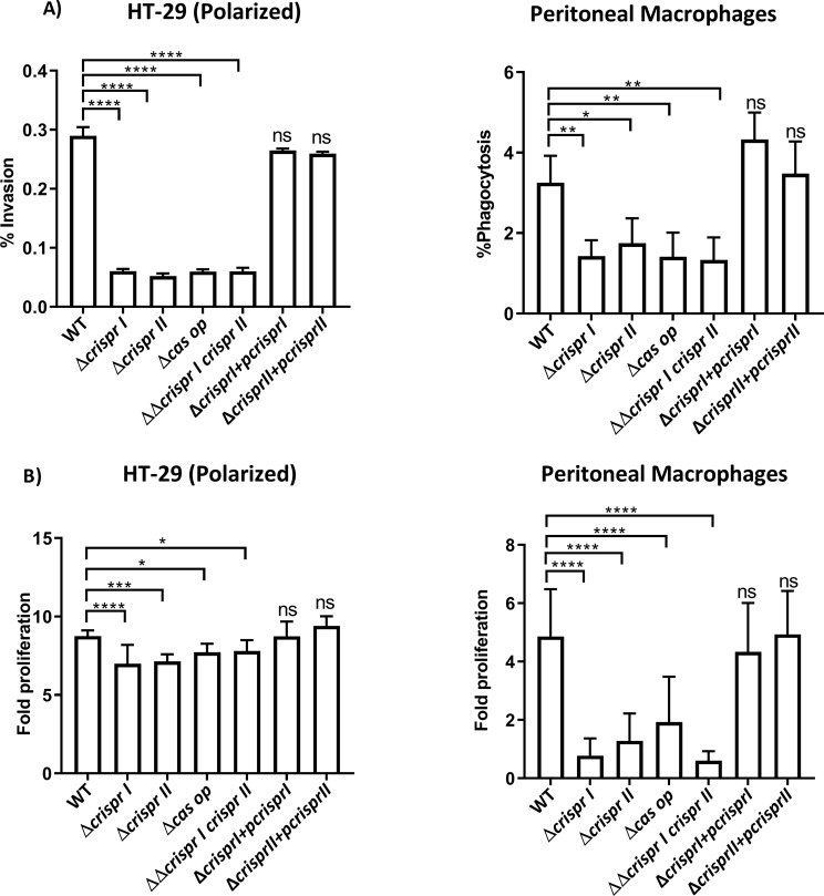CRISPR-Cas system positively regulates virulence of Salmonella enterica serovar Typhimurium.