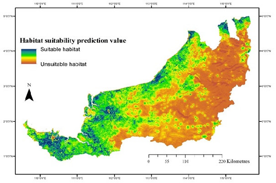 Prioritising Conservation Area in Species Management Strategy for The Edible Bornean Giant River Frog <i>Limnonectes leporinus</i> Anderson 1923.