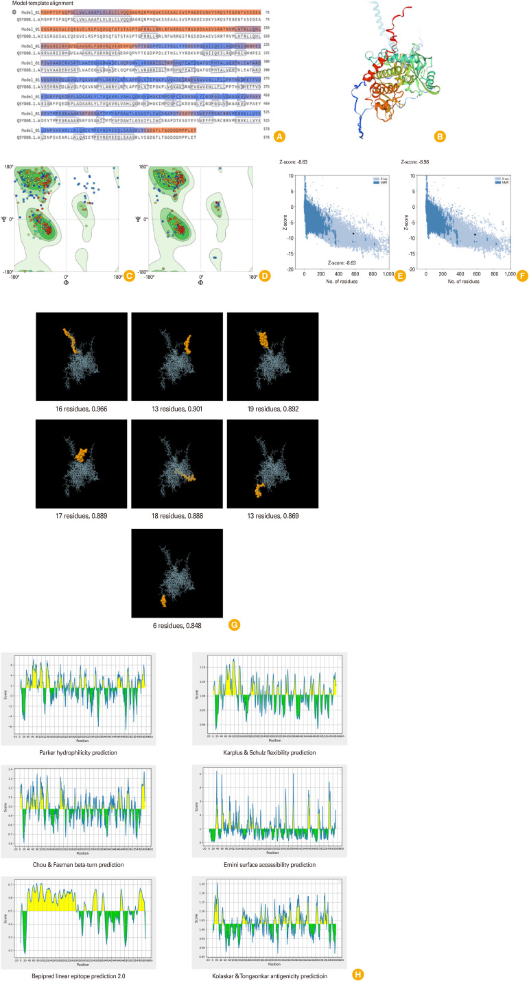 Completing the pieces of a puzzle: in-depth probing of <i>Toxoplasma gondii</i> rhoptry protein 4 as a promising target for vaccination using an <i>in-silico</i> approach.