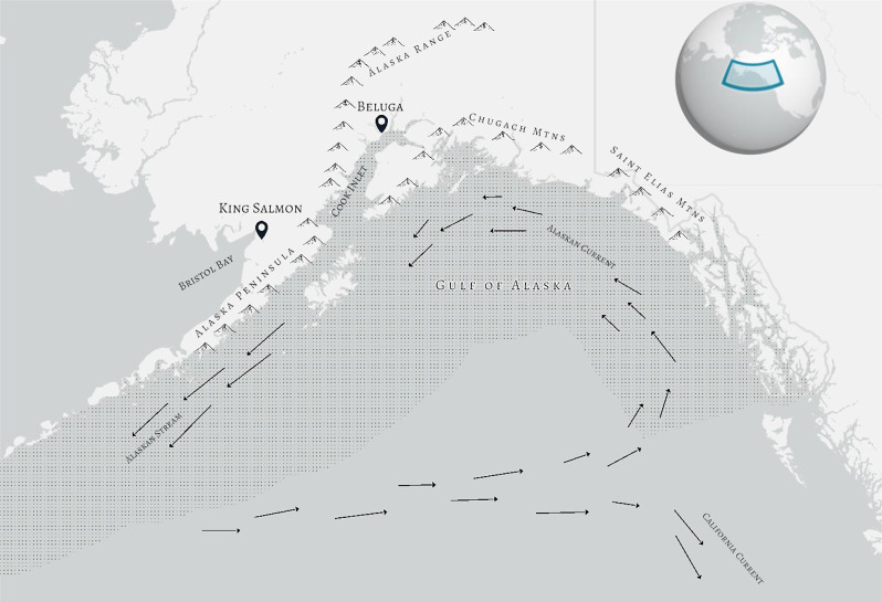 Migratory strategies across an ecological barrier: is the answer blowing in the wind?