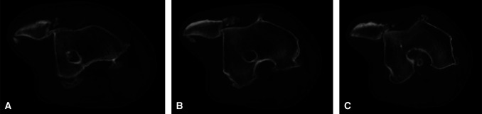 Abstract Image