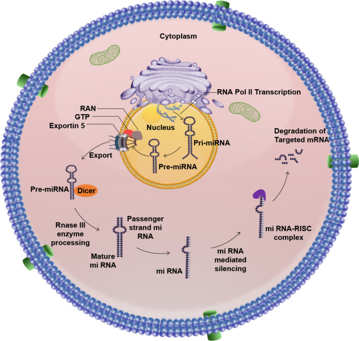 Epigenetic frontiers: miRNAs, long non-coding RNAs and nanomaterials are pioneering to cancer therapy.