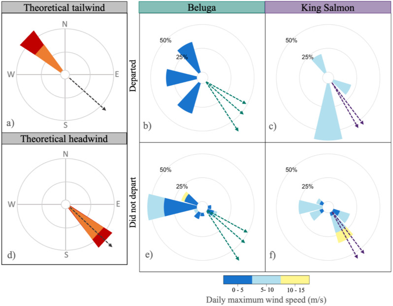 Migratory strategies across an ecological barrier: is the answer blowing in the wind?