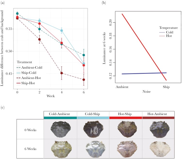 Interaction between anthropogenic stressors affects antipredator defense in an intertidal crustacean.