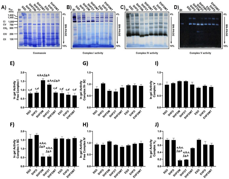 Sedentary Lifestyles and a Hypercaloric Diets During Middle Age, are Binomial Conducive to Fatal Progression, That is Counteracted by the Hormetic Treatment of Exercise, Metformin, and Tert-Butyl Hydroquinone: An Analysis of Female Middle-Aged Rat Liver Mitochondria.