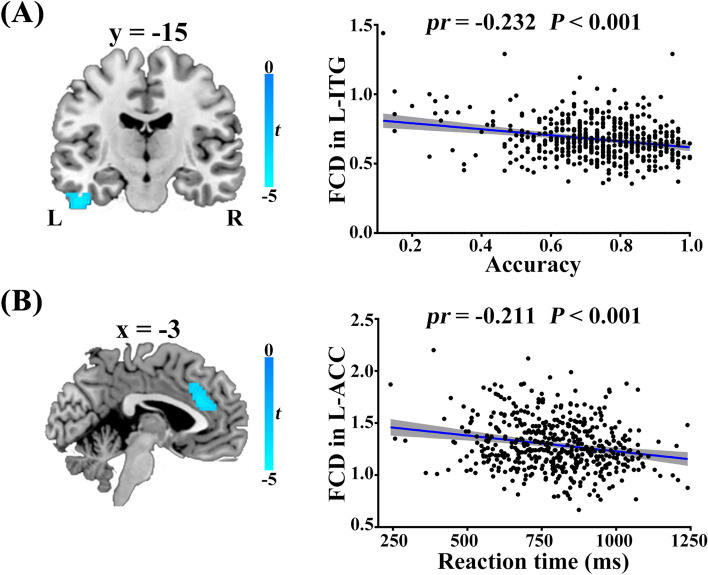 Molecular mechanisms underlying the neural correlates of working memory.