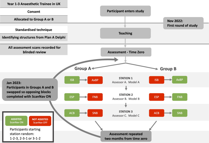 Prospective randomized evaluation of the sustained impact of assistive artificial intelligence on anesthetists' ultrasound scanning for regional anesthesia.