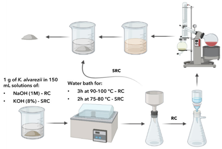 Advanced Extraction Techniques and Physicochemical Properties of Carrageenan from a Novel <i>Kappaphycus alvarezii</i> Cultivar.