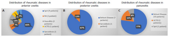 Rheumatic diseases detected in patients presenting with uveitis.