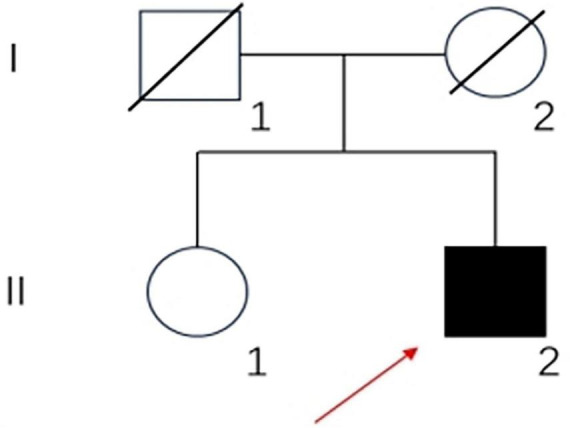 Abstract Image