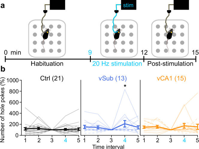 Acute optogenetic induction of the prodromal endophenotype of CA1 hyperactivity causes schizophrenia-related deficits in cognition and salience attribution.