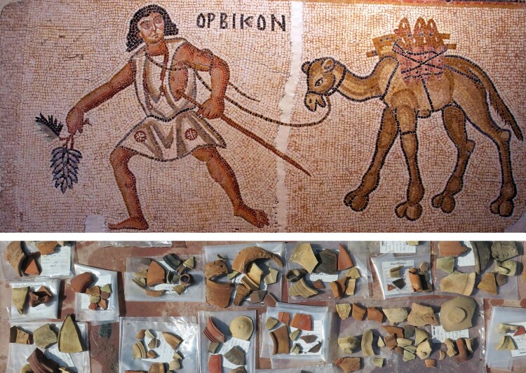Distribution patterns of Gaza wine vs. Cilician wine in the eastern Mediterranean in Late Antiquity.
