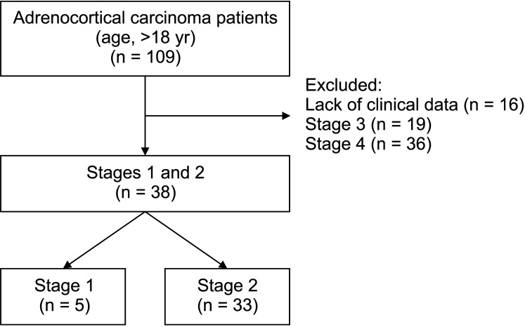 Early stage adrenocortical carcinoma-what contributes to poor prognosis after adrenalectomy? A retrospective cohort study.