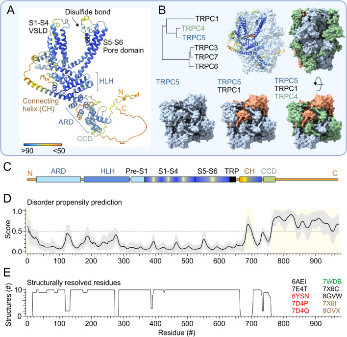 Thermosensing ability of TRPC5: current knowledge and unsettled questions.