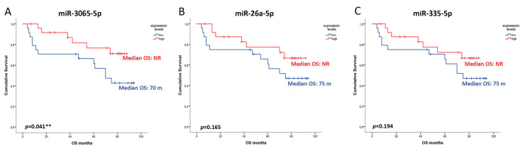 Abstract Image