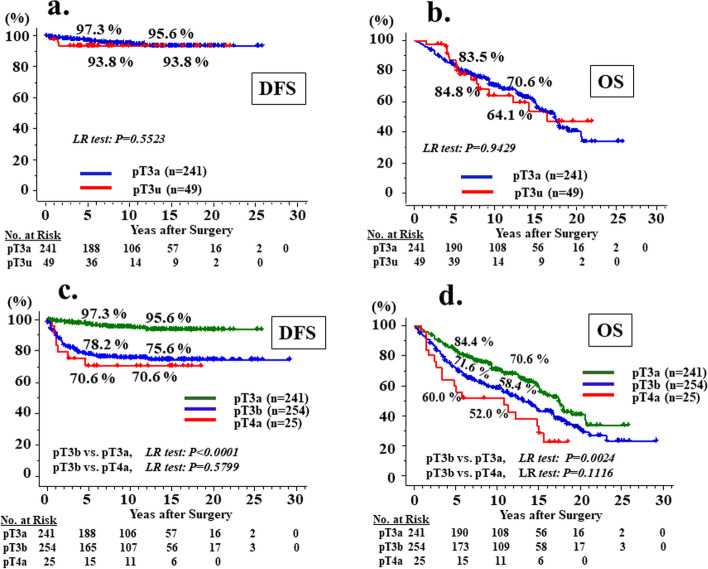 The clinical significance of elastic lamina invasion in patients with pStage II colorectal cancer: a notable prognostic indicator.