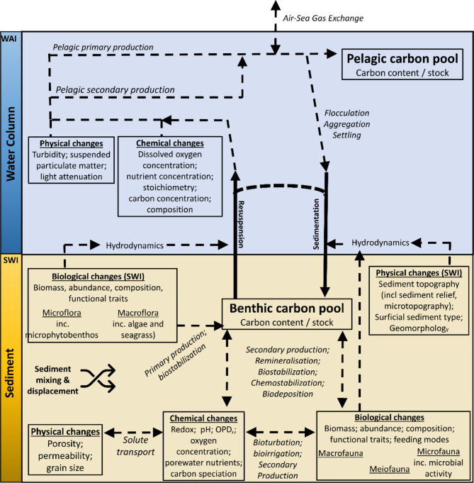 Investigating the effects of mobile bottom fishing on benthic carbon processing and storage: a systematic review protocol.