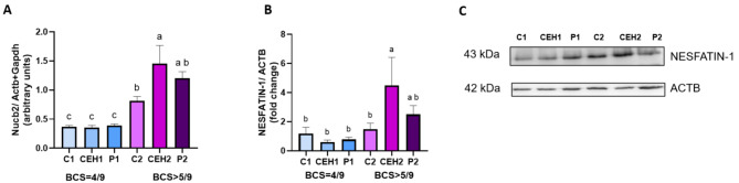 Nesfatin-1 expression and blood plasma concentration in female dogs suffering from cystic endometrial hyperplasia and pyometra and its possible interaction with phoenixin-14.