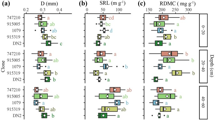 How is tree growth rate linked to root functional traits in phylogenetically related poplar hybrids?